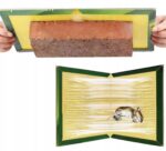 20x PUŁAPKA NA MYSZY SZCZURY MYSZOŁAPKA SILNY KLEJ MOCNA ŁAPKA LEP AROMAT - obrazek 10