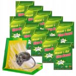 Lep MYSZOŁAPKA LEP NA MYSZY 0,1kg przeciwko myszom i szczurom 10sztuk 25x17 - obrazek 3